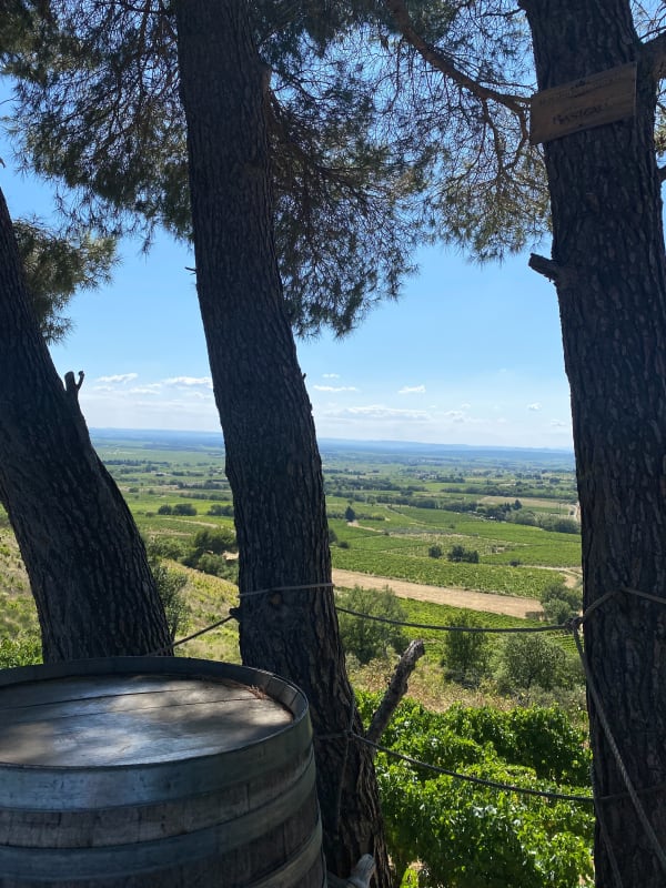 Les chapelles de gratitude - Cairanne - Parcours N° 3 - Cairanne - 1