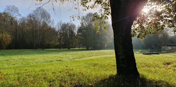 Autour de Saint-Amant-de-Nouère - Saint-Amant-de-Nouère - 1