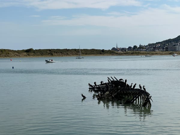 Marche le long de la Dives - Dives-sur-Mer - 1