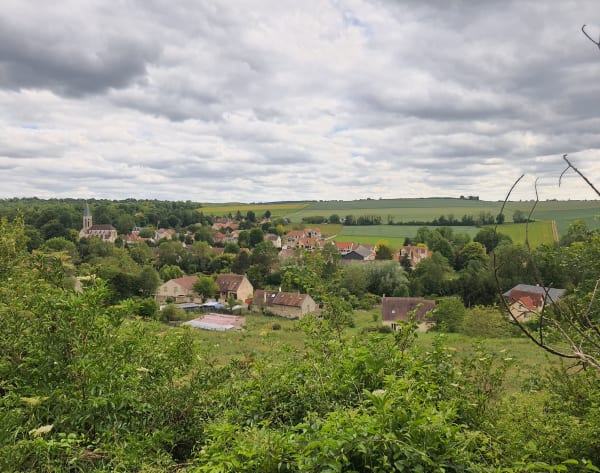Balade champêtre de Davron à Thiverval et saut de lapin - Davron - 1