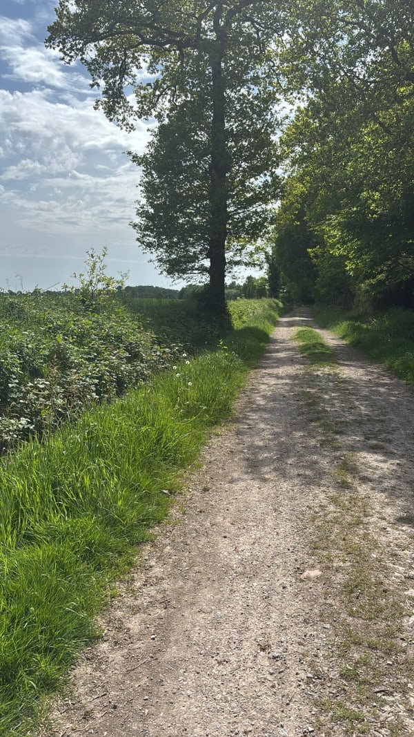 Sortie autour de Plélan le Grand - Plélan-le-Grand - 1