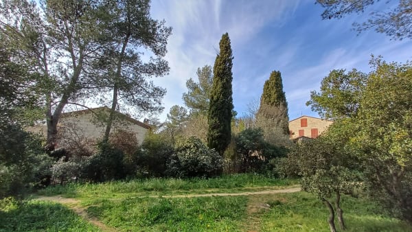 Aiguelongue - Parc Montmaur - Montpellier - 1