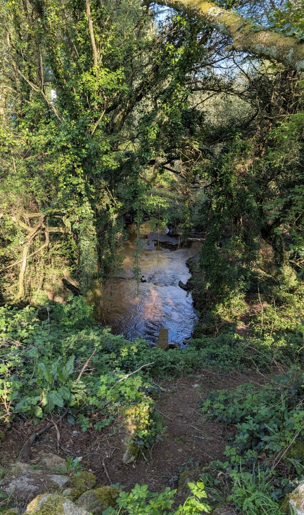 Sentier des Popinettes et étang de Celac - Questembert - 1