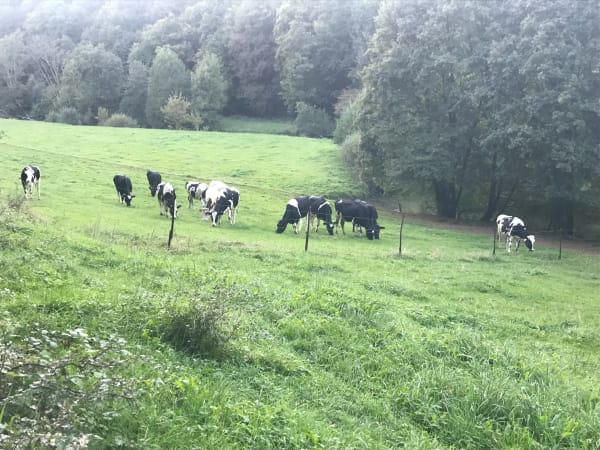 Othe Walk, Marville Lake, Flassigny - Othe - 1