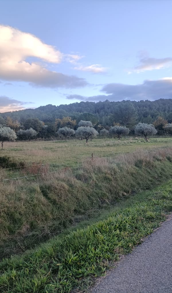 Marche à Langlade - AMEL - 1