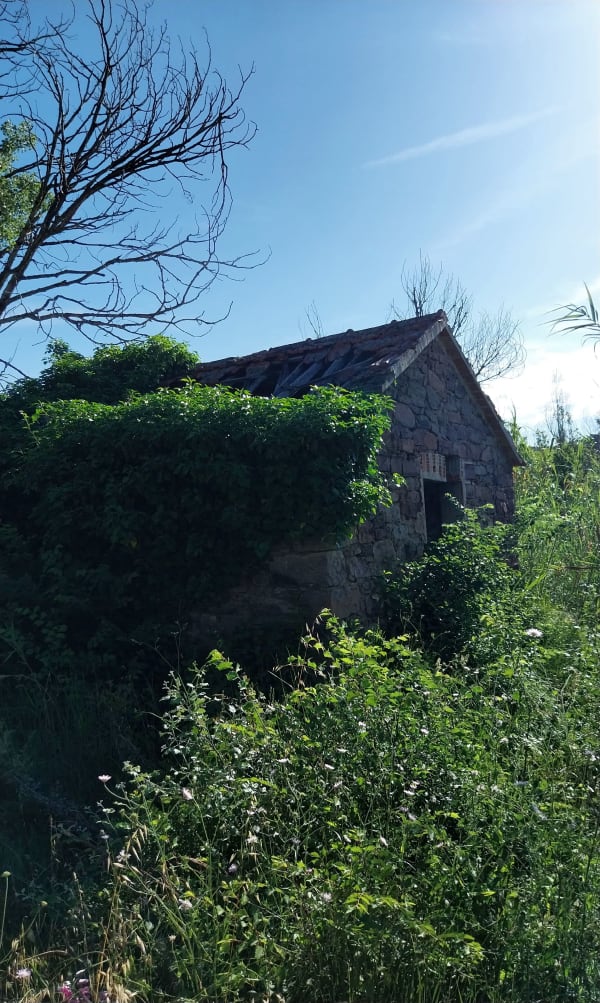 Lac de Rimade, Le Muy, portes du Rouet - Le Muy - 1