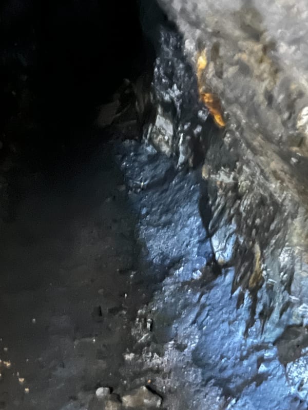 Puy-le-Haut du Freney-d 'Oisans à raquettes - Le Freney-d'Oisans - 1