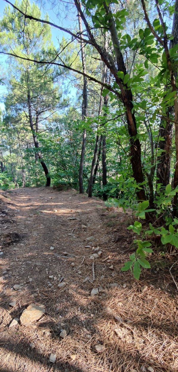 Parcours dans le Gard et son envolée sur le Pic Arbousse - Saint-Jean-du-Gard - 1