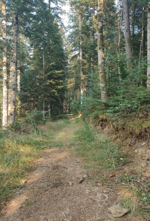 Légende du Rocher des Trois Tourtes et vue époustouflante - Herment - 1