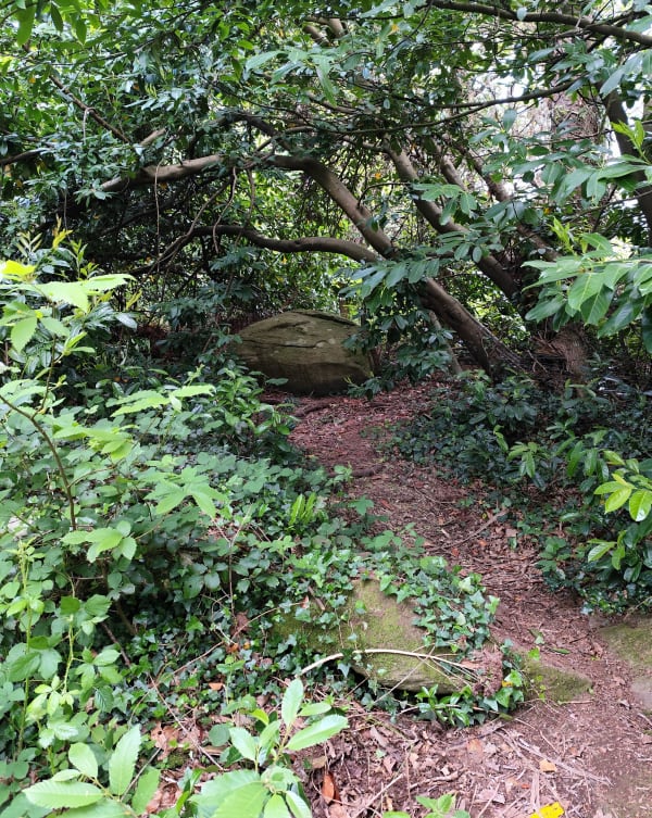 Sublime sentier côtier et allée de Lesconil - Douarnenez - 1