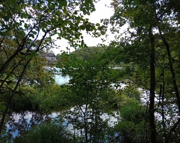 Aux Bois Morestellois, mais pas aux abois - Christine - 1