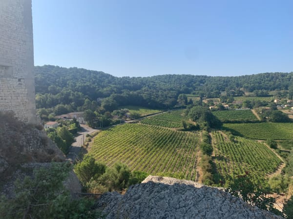 Vaison-la-Romaine et les vestiges de son histoire - EMILIE - 1