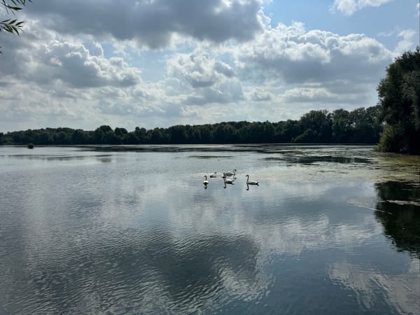 Boucle autour du campus, du lac du Heron et de Fives - Lille - 1