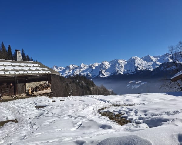 Du Chinaillon au Grand Bornand à raquettes - Le Grand-Bornand - 1