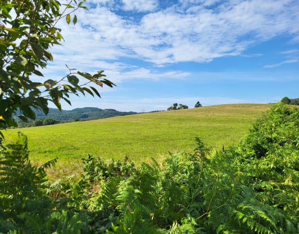 En longeant le Mont Moux - Moux-en-Morvan - 1
