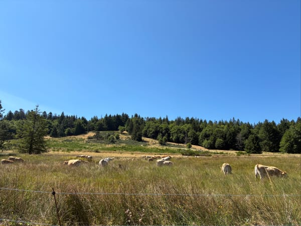 Wandel in de Vallei van Geluk - Saint-Sauveur-Camprieu - 1