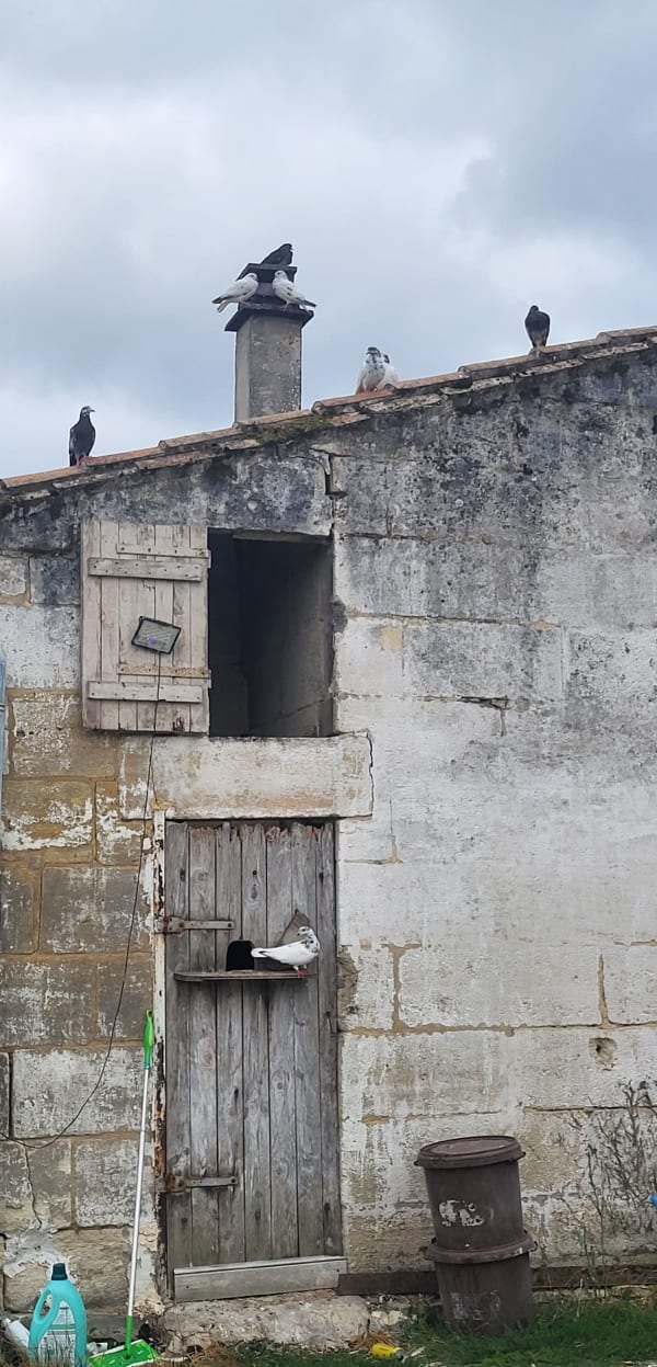 Boucle du Greseau et de Baron et douce balade semi-urbaine - Sainte-Eulalie - 1