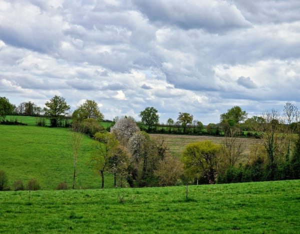 Tour de Balthazar - Livarot-Pays-d'Auge - 1
