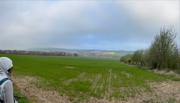 Tournehem vue sur Guémy, entre champs, bosquets et rivière - Tournehem-sur-la-Hem - 1