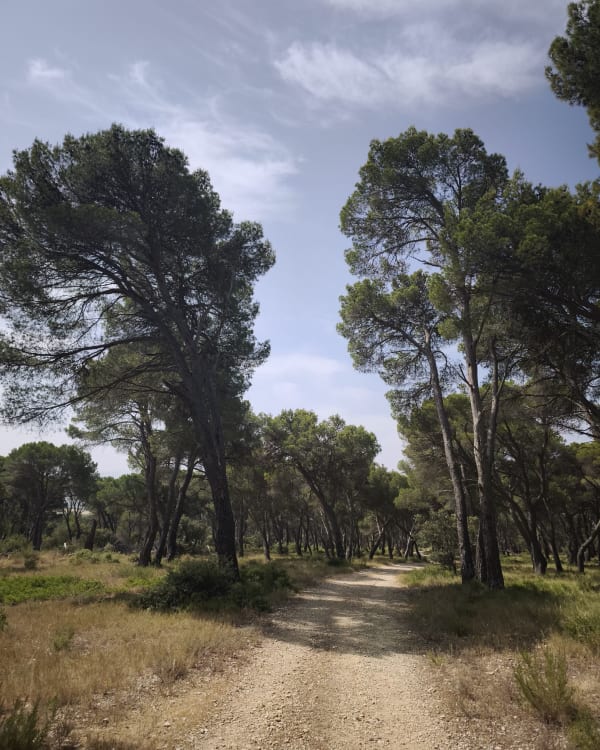 Joucas et escapade entre vignes et vergers - Joucas - 1