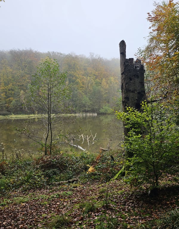 Tour entre Billeul-sur-Thérain et la Neuville-en-Hez - La Neuville-en-Hez - 1