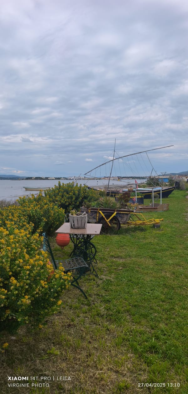 Balade au bord de l'étang de Thau - Sète - 1