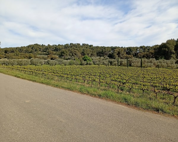 Sortie autoure de Mouriès - Mouriès - 1
