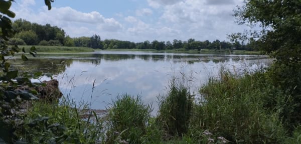 Tour de l’étang des Léchères par Saint-Paul-de-Varax - STEPHANIE - 1