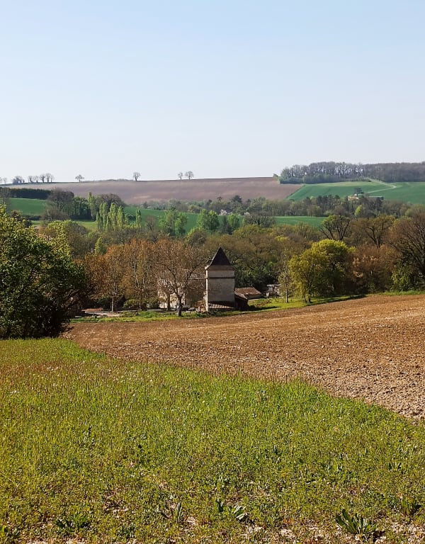 Sauvagnas, la traversée du bois de Courties - ARNAUD - 1
