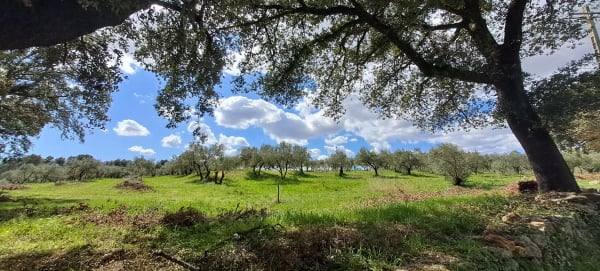 Virée sur le sentier des quatre carrières et passé ouvrier - Sussargues - 1