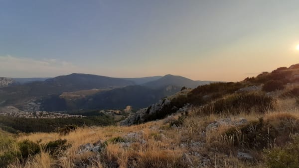 La tête dans les plumes - Rougon - 1
