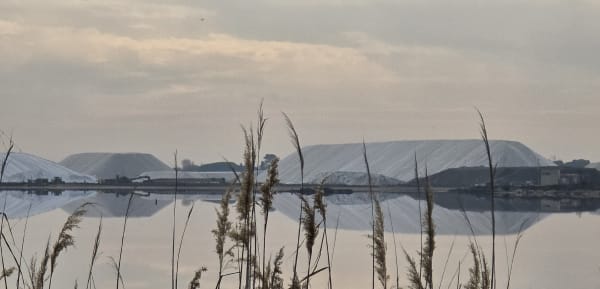 Un tour en Camargue - Laurence - 1