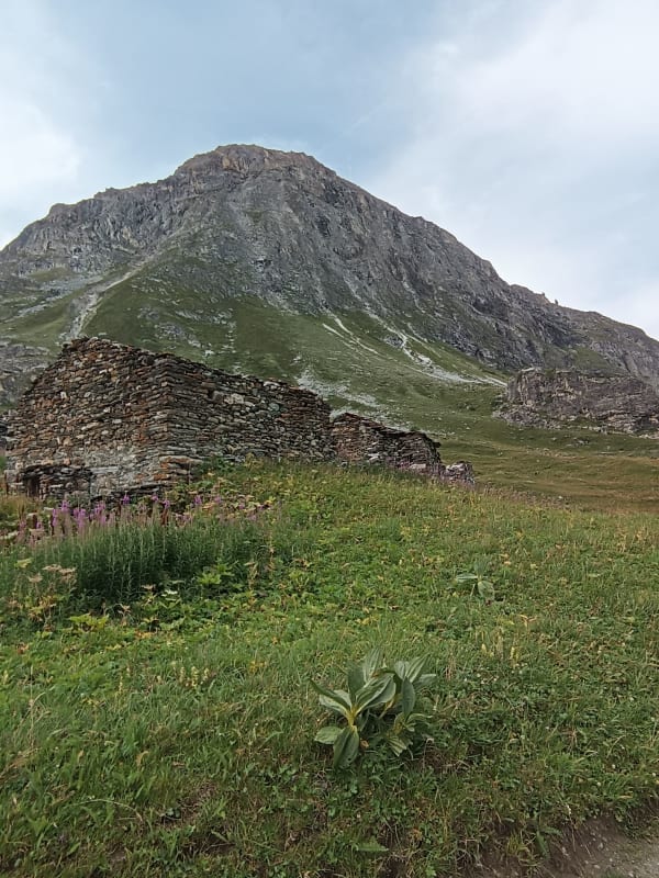 Petite balade autour d'Ecuillé - Écuillé - 1