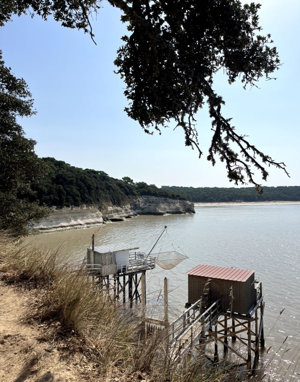 Promenade à Suzac - Meschers-sur-Gironde - 1