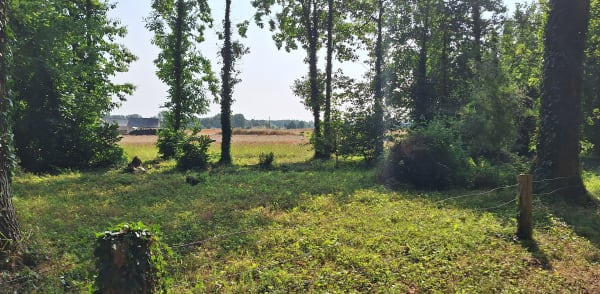 Jolie boucle dans les Bois d'Anjou - Les Bois d'Anjou - 1