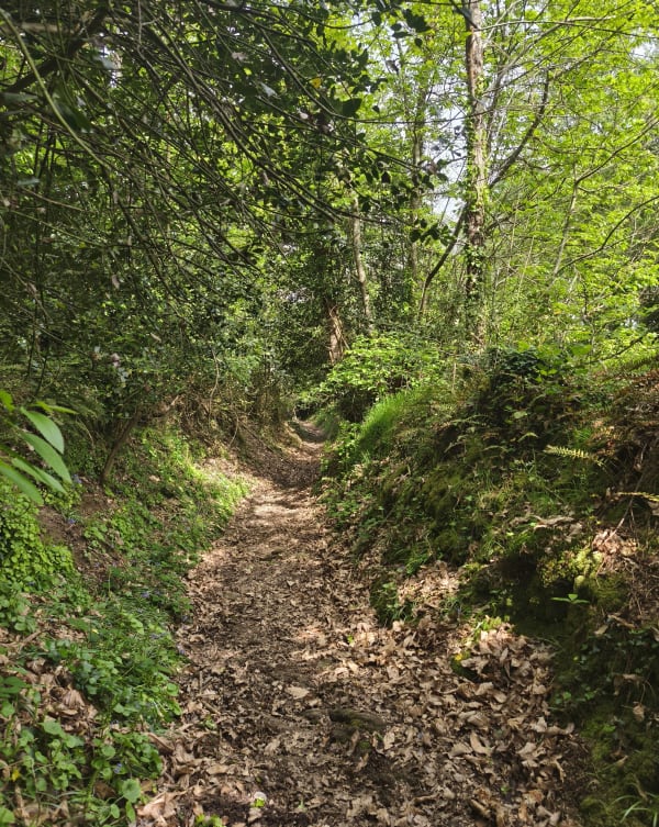 Vigneux-de-Bretagne et agréable sortie en campagne - Vigneux-de-Bretagne - 1