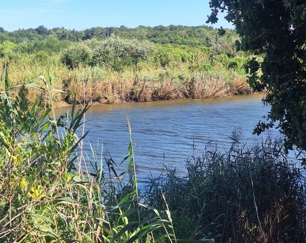 Le Teich et s'évader dans les bras de l'Eyre - Le Teich - 1