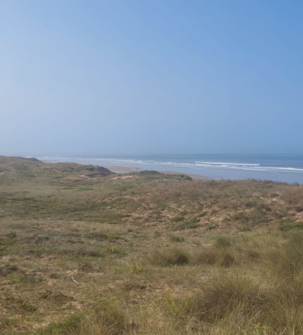 Sauveterre, belle balade entre forêt et plage - DENIS - 1