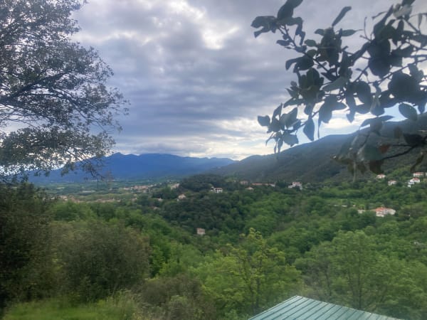 Balade facile de Céret au Coll de Baucells - Céret - 1