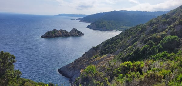 Tour de l'île de Port-Cros et découverte de sa flore - Hyères - 1