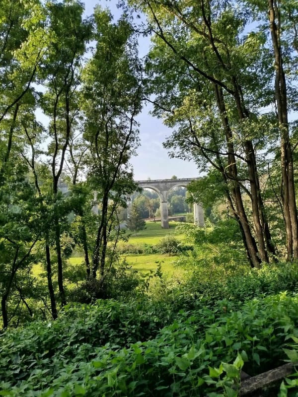 Axe Vert de la Thiérache et sublime viaduc d'Ohis - Neuve-Maison - 1