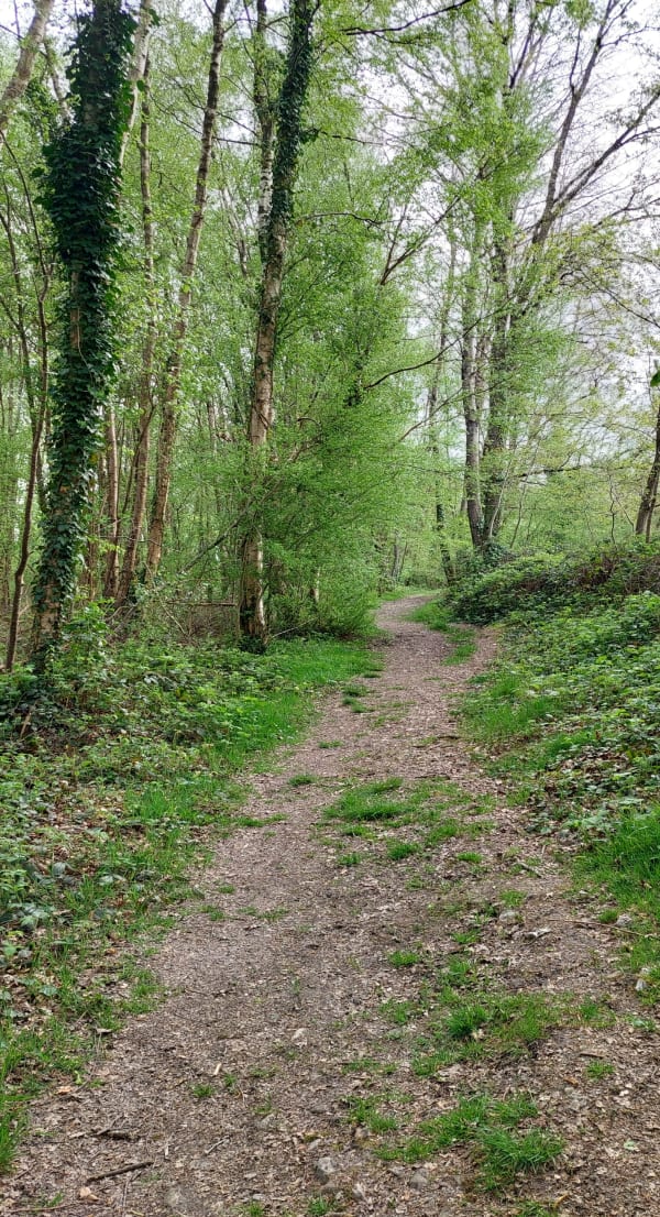 In Manou, ontdekking van het Froux-veenmoeras - Manou - 1