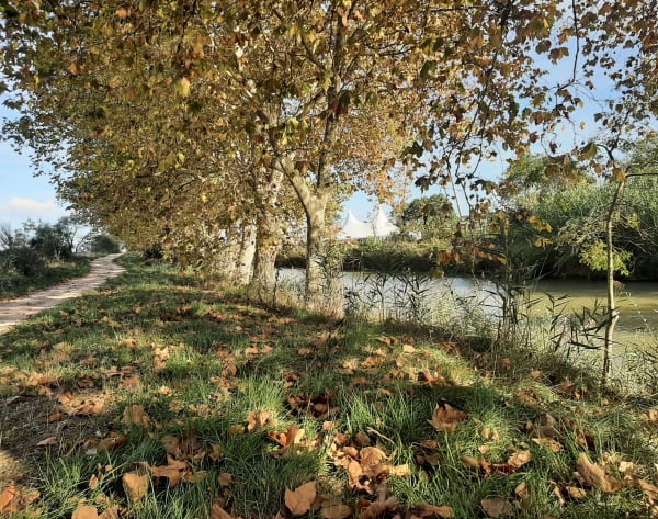 Agde Béziers par le canal du midi - Évelyne  - 1