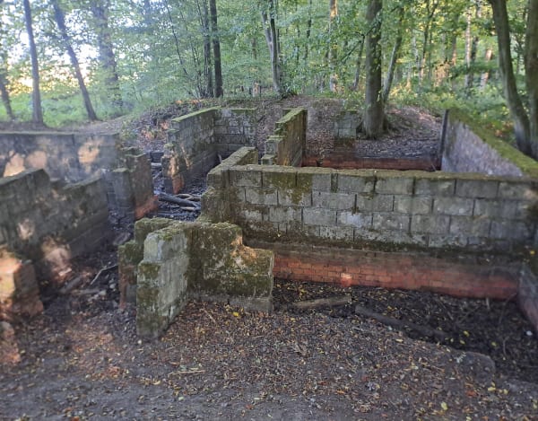 Sortie en forêt de Nieppe et trésors de guerre - Morbecque - 1