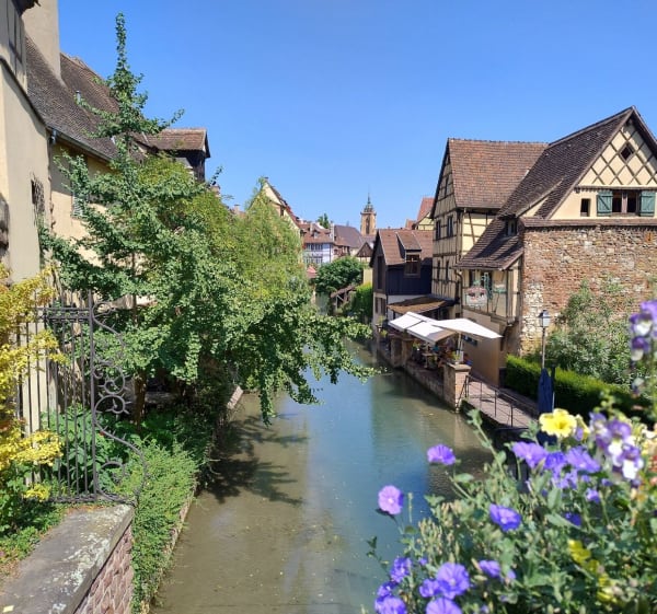 Wintzenheim - Turckheim -Colmar - Wintzenheim - 1