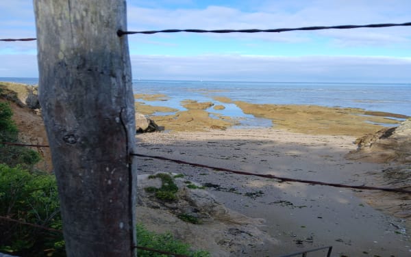 GR 34 en Castelli Point in Piriac-sur-Mer - Piriac-sur-Mer - 1
