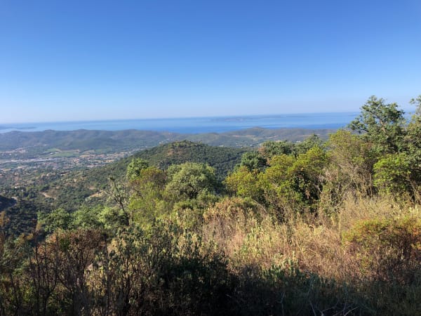 Boucle des trois cols à Bormes-les-Mimosas - Bormes-les-Mimosas - 1