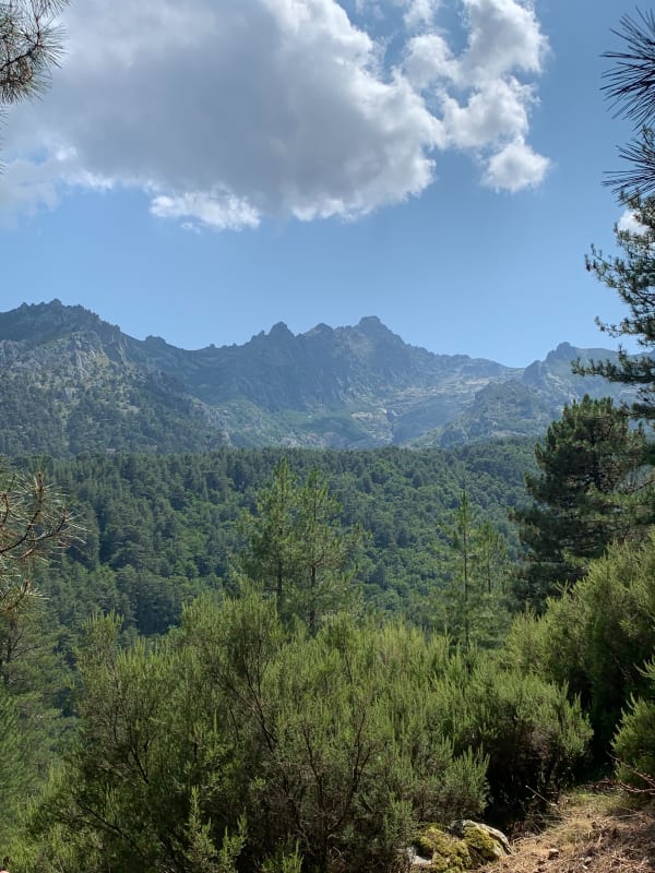Les pierres plates via la bergerie de tolla - Vivario - 1
