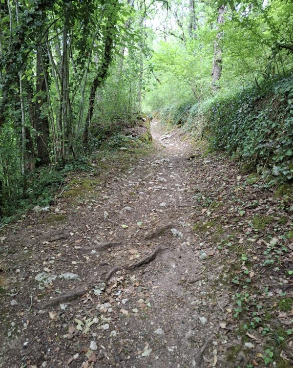 Val d'Angles et bords de rivière à Angles-sur-l'Anglin - Angles-sur-l'Anglin - 1