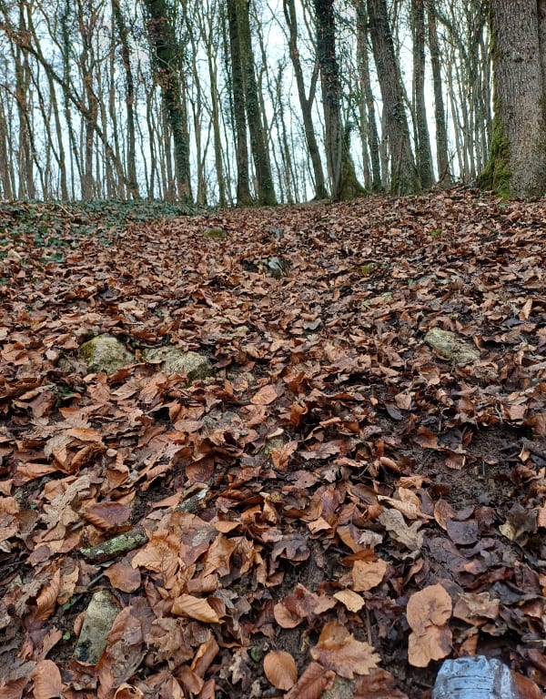Ste germaine - Bar-sur-Aube - 1
